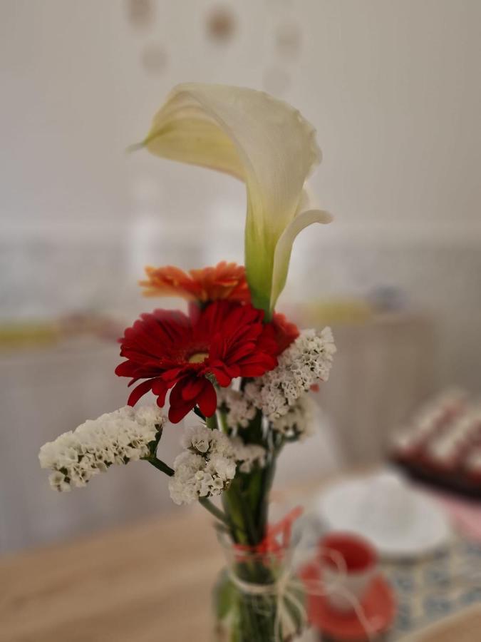 B&B Tre Sorelle Surbo エクステリア 写真